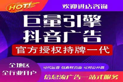 竞价排名案例：优化广告预算分配